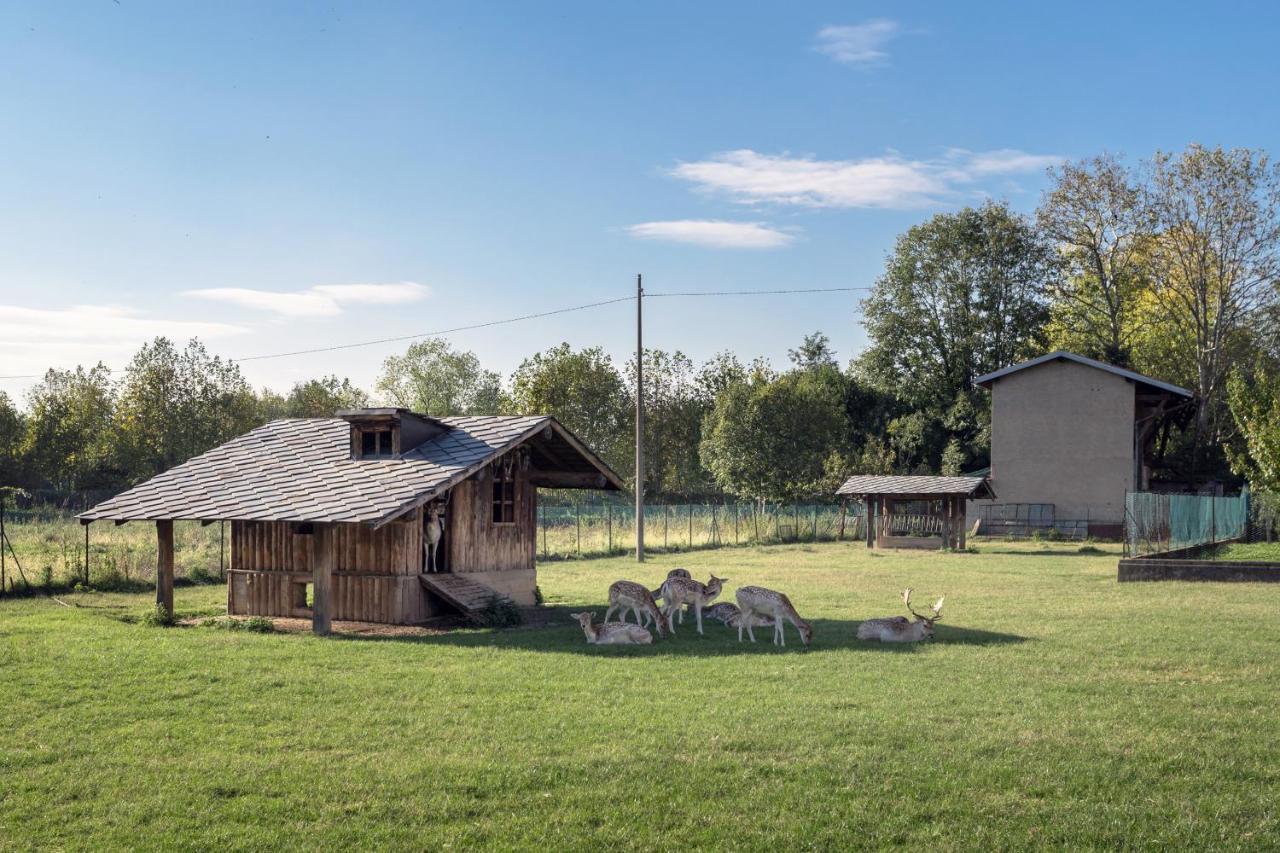 Apartmán La Casetta Dei Daini - Affitti Brevi Italia Orio al Serio Exteriér fotografie